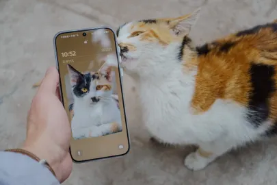 BetCart Kasino Mobilná aplikácia